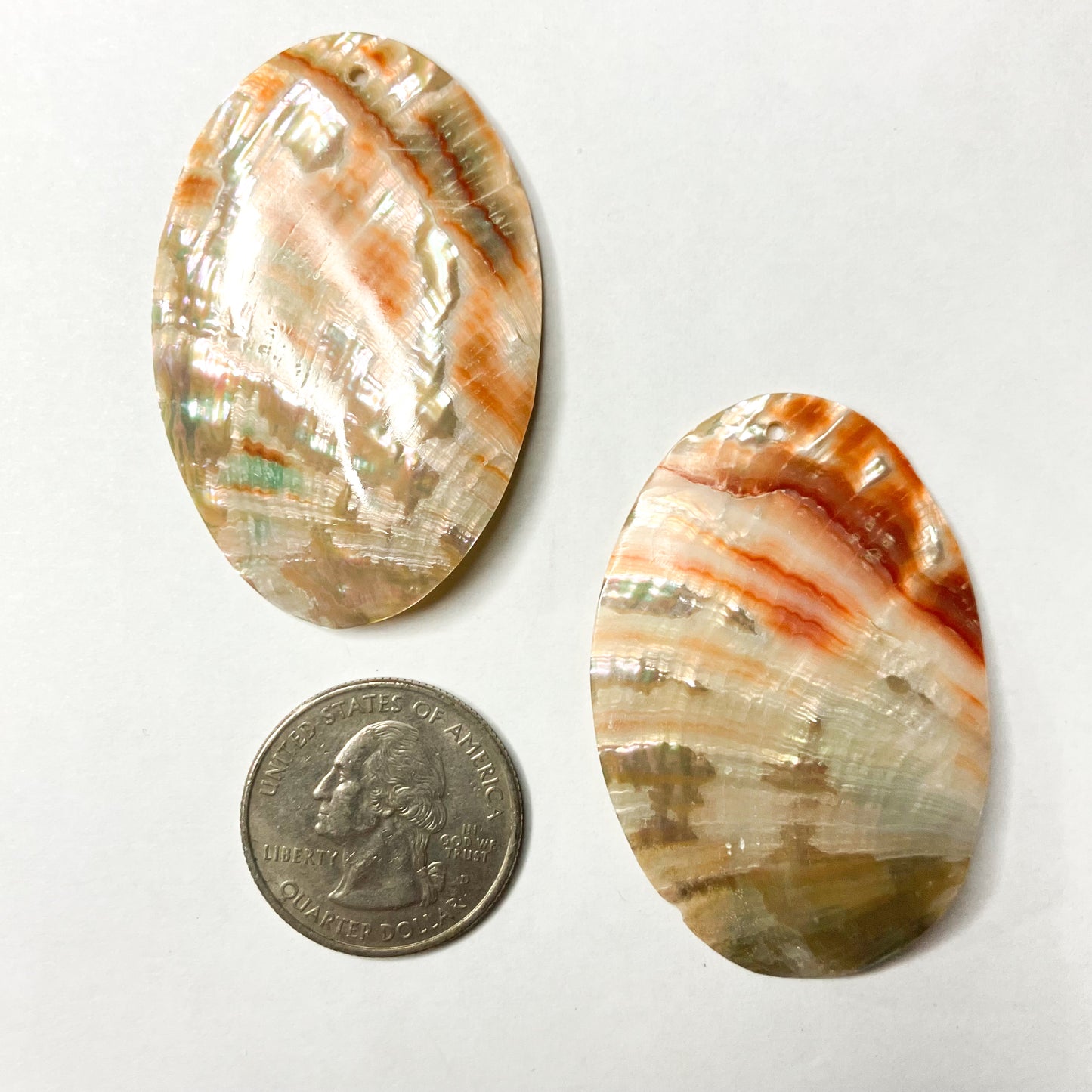 Red Abalone Shell Ovals – Set of 2 (Approx. 2")