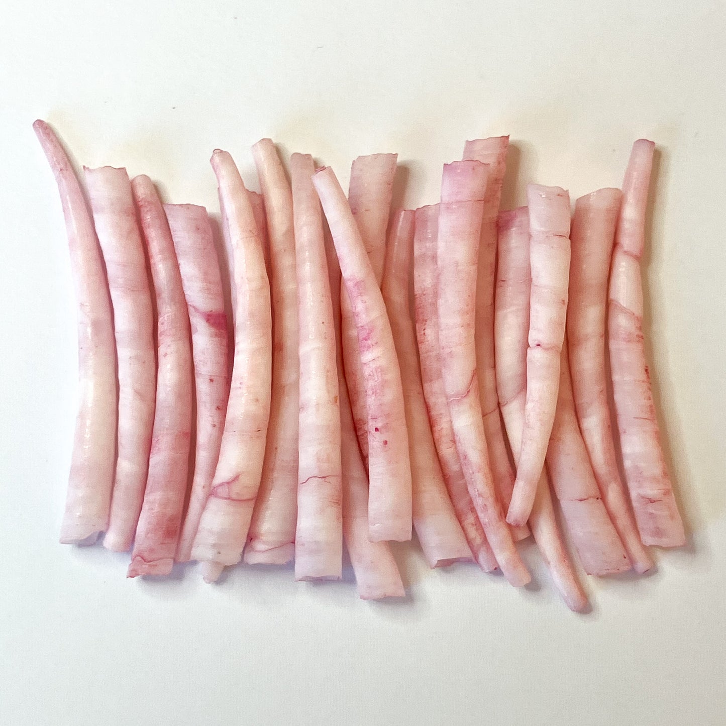 Pink Dyed Dentalium Shells – 20pc