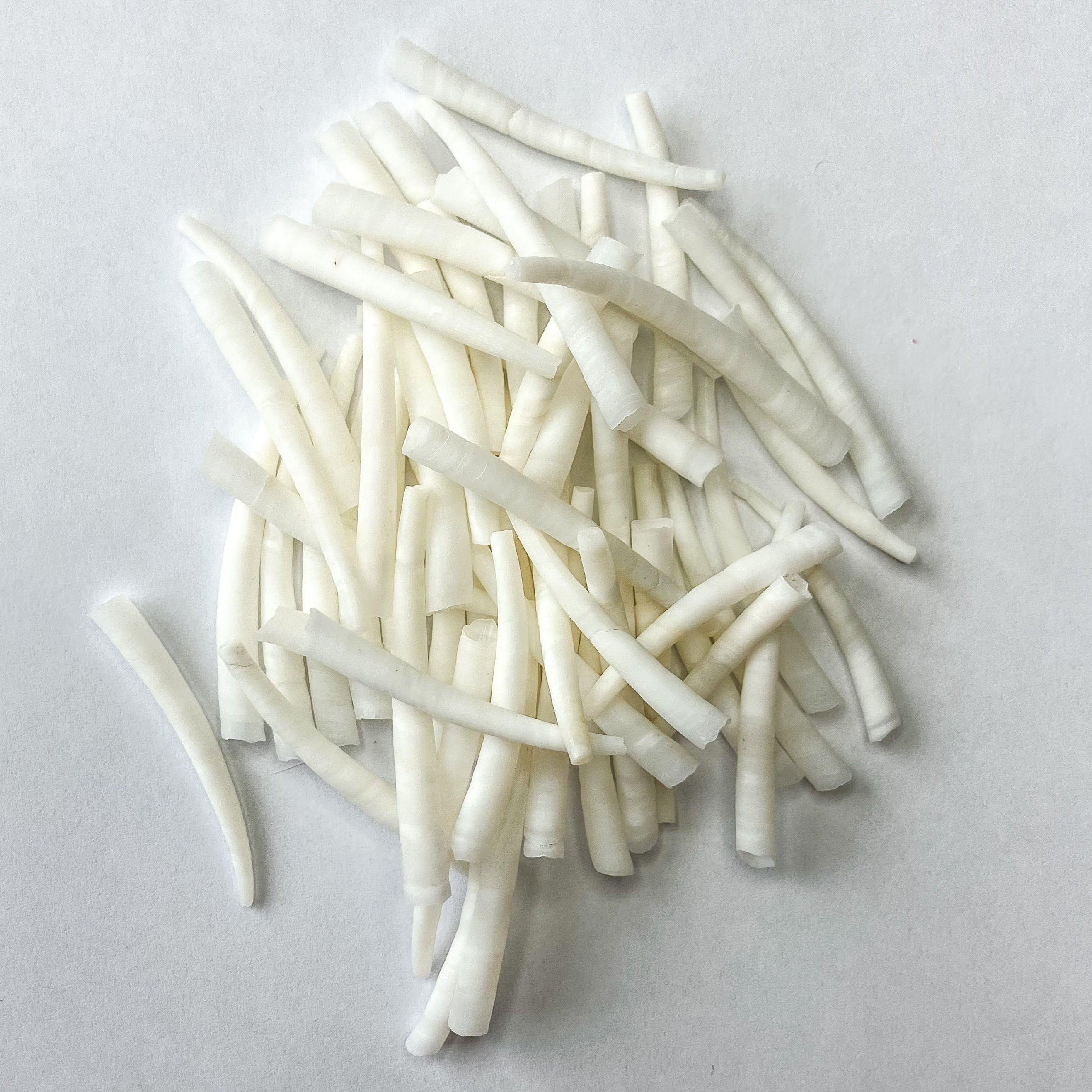 High-Quality Dentalium Shells – Good Medicine Beading