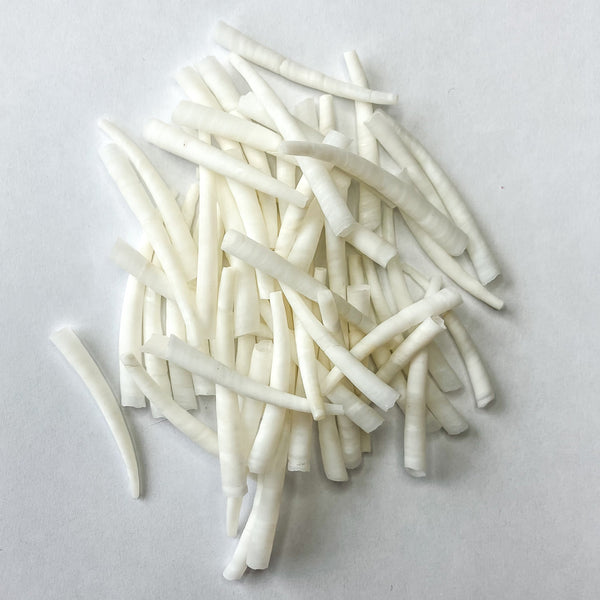 500 Coquilles Dentalium Aprinum – Blanc – 1/2 Livre – Artisanat Déco