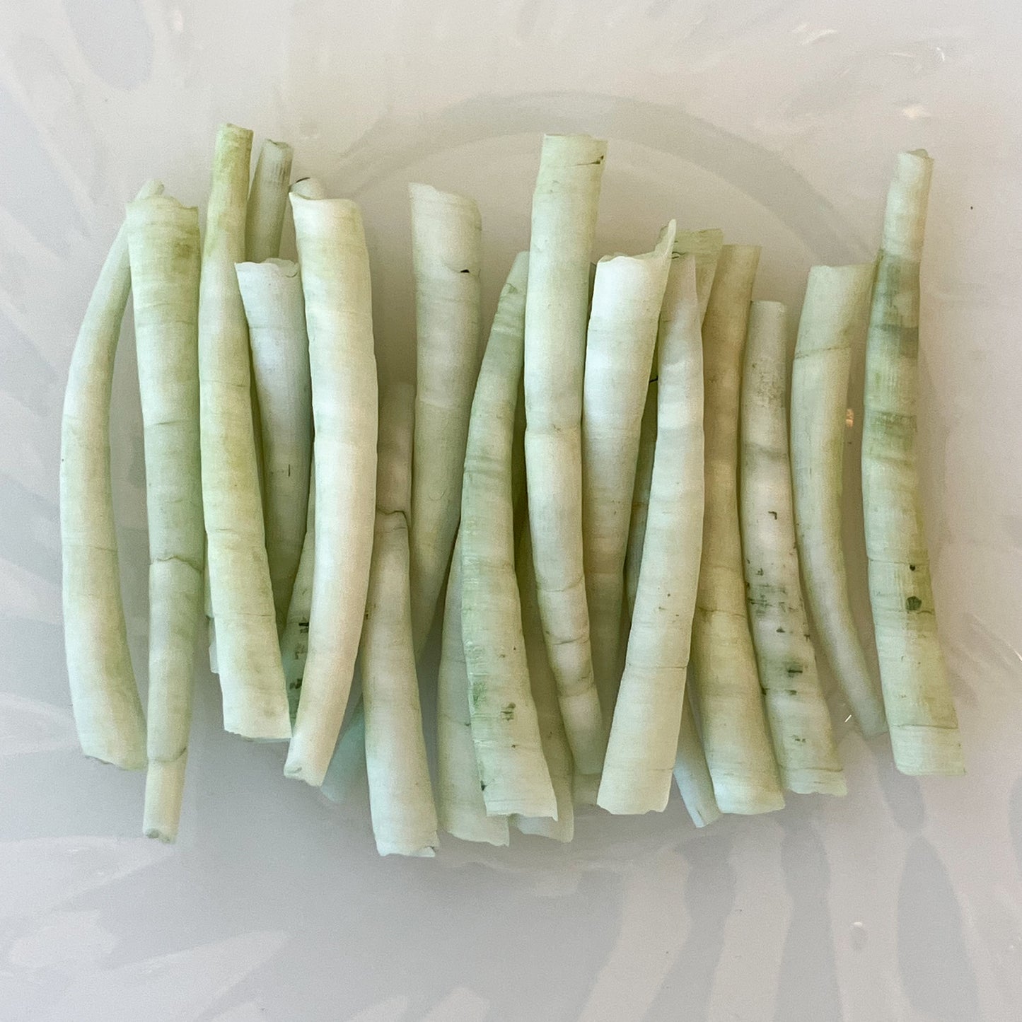 Green Dentalium Shells – 20pc