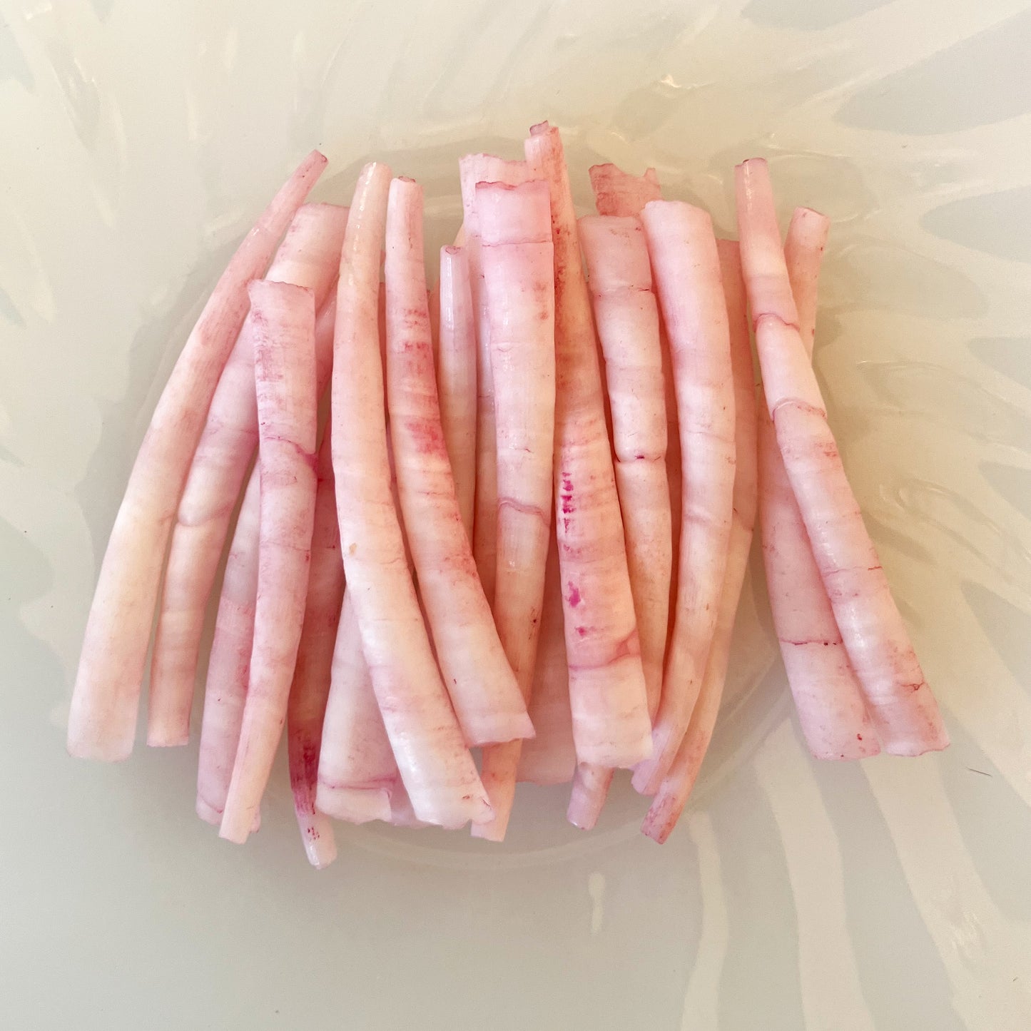 Pink Dyed Dentalium Shells – 20pc